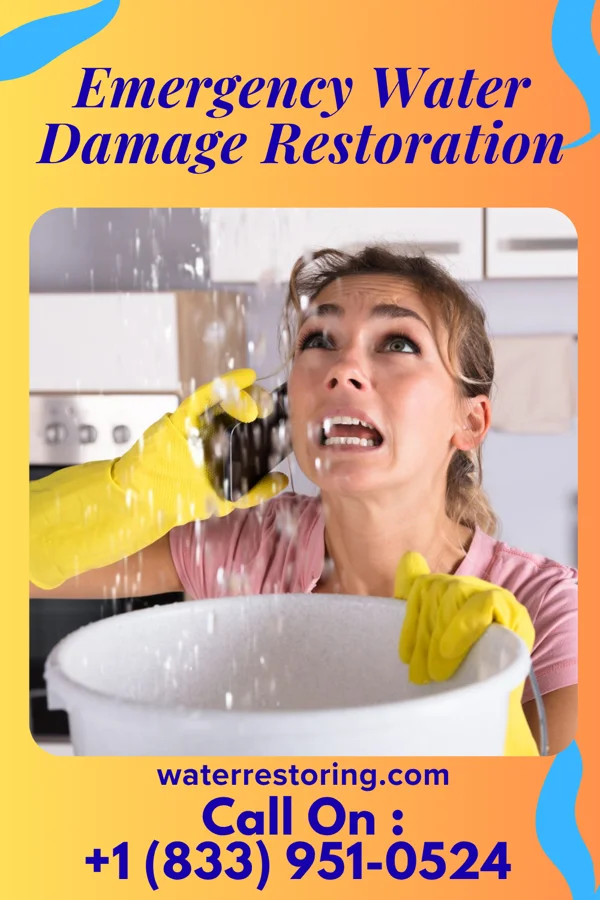 Emergency Water Damage Restoration in Briar Chapel, NC