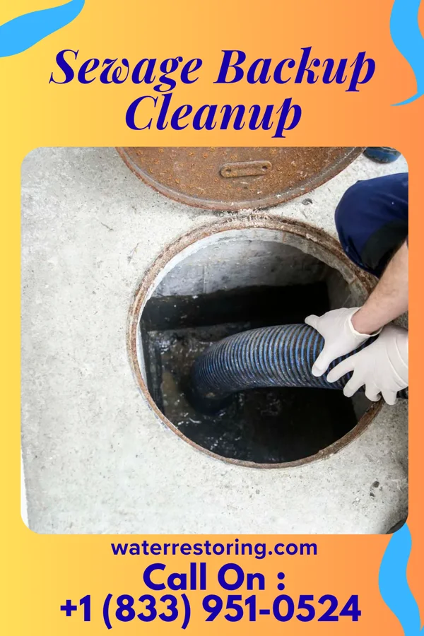 Sewage Backup Cleanup in Briar Chapel, NC