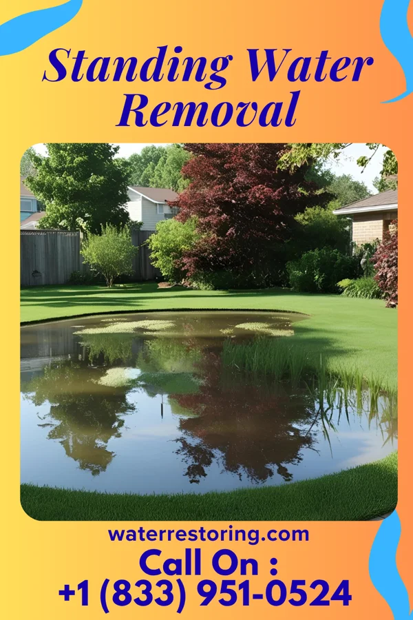 Standing Water Removal in Briar Chapel, NC